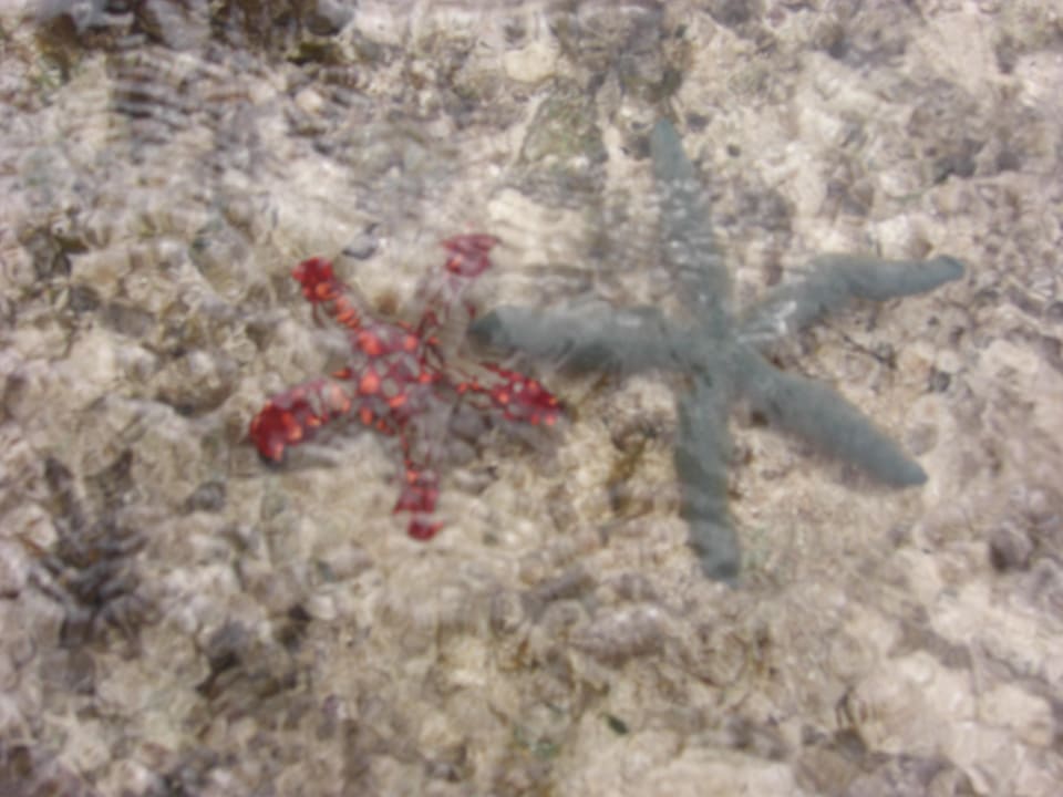 Schön Neptune Village Beach Resort & Spa