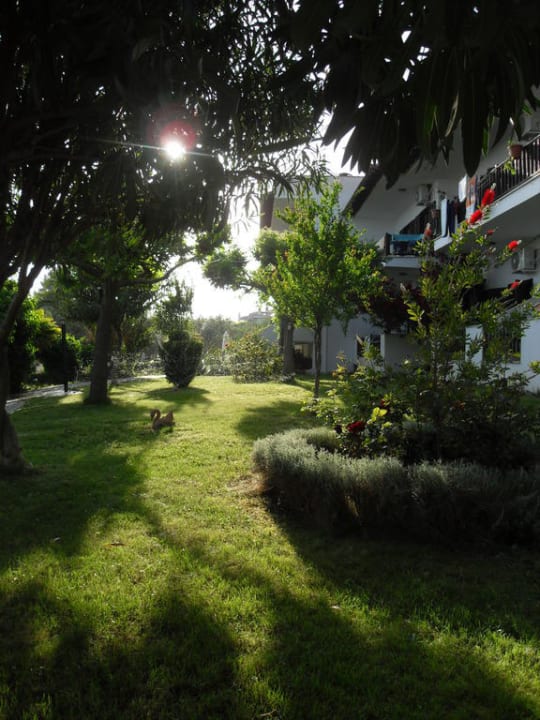 Garten Haus des Gartens / Pension Nikos