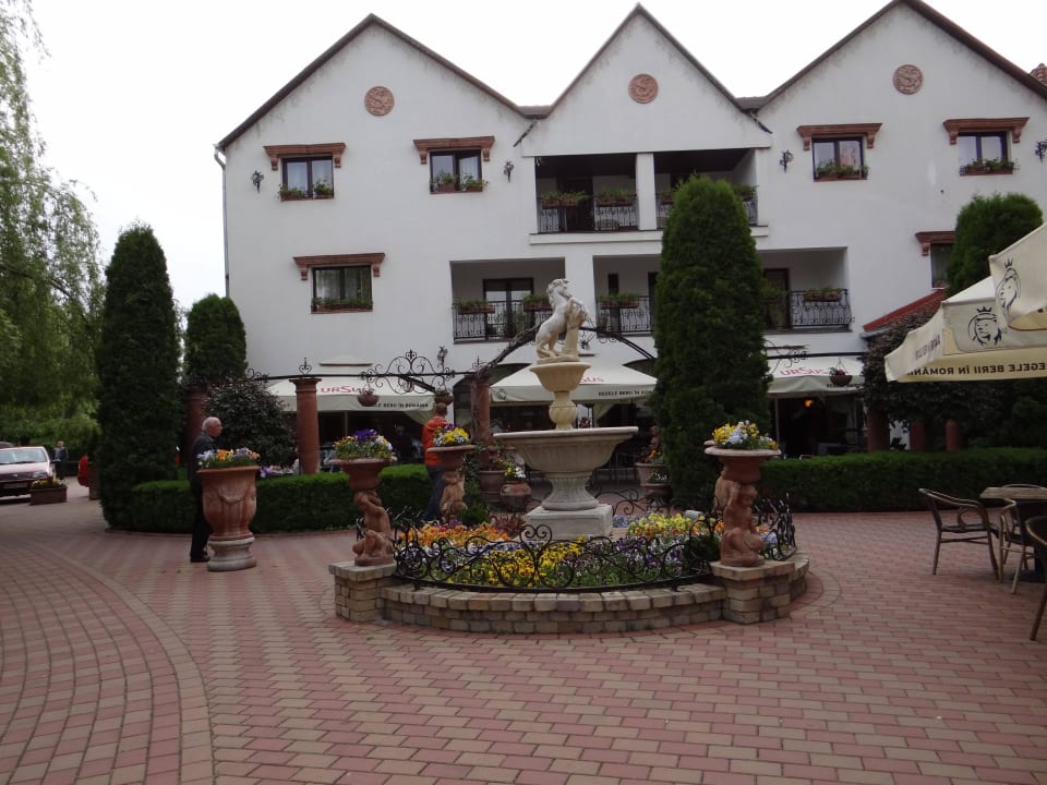 Terrace Pension Domeniul Dracul Danes