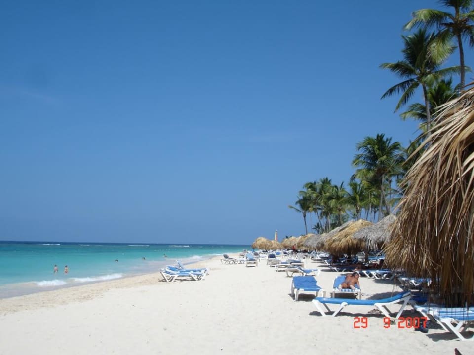 Am Strand Royalton Splash Punta Cana