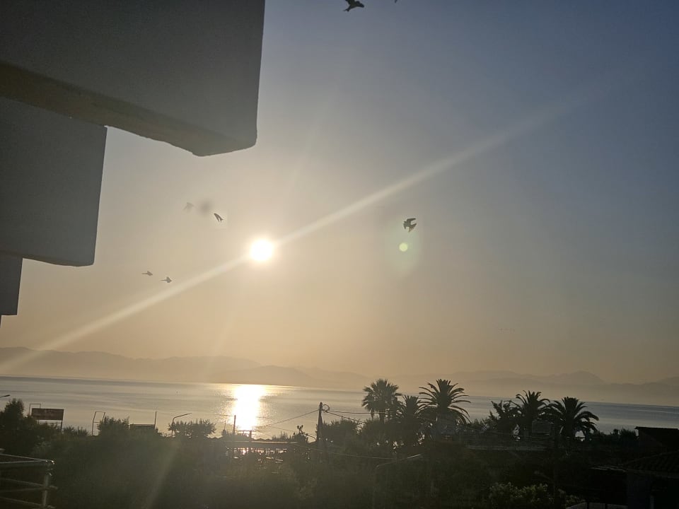 Ausblick Hotel Albatros