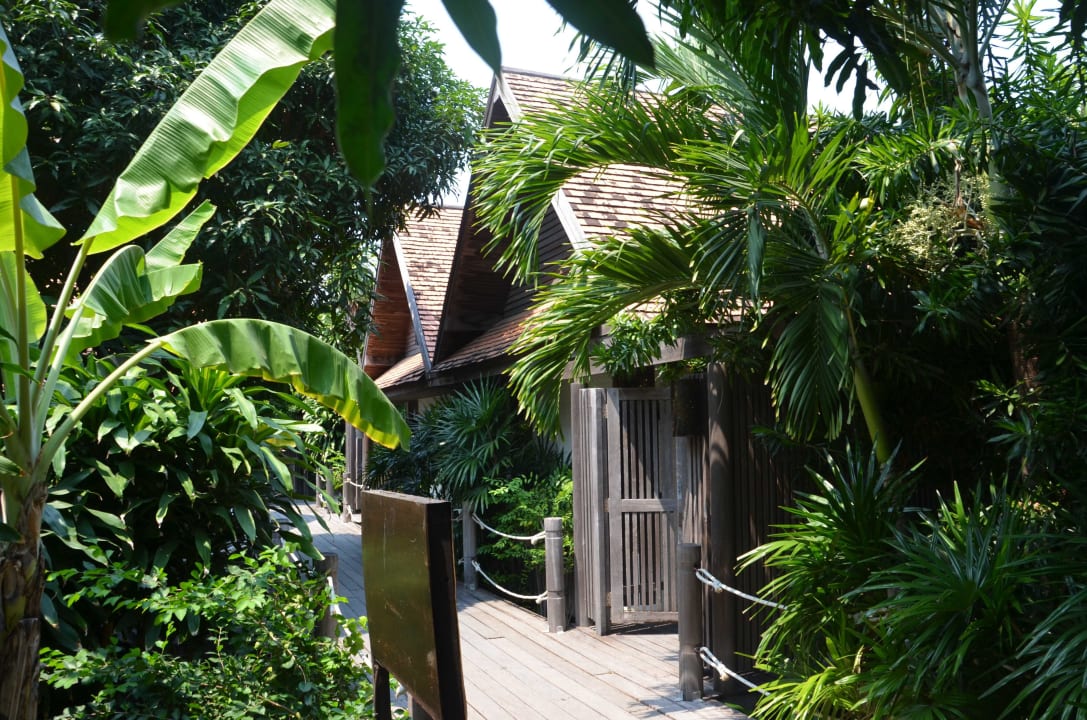 Stege zu den Bungalows Wyndham Hua Hin Pranburi Resort & Villas