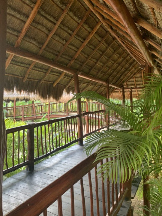 Gartenanlage Akumal Bay Beach & Wellness Resort