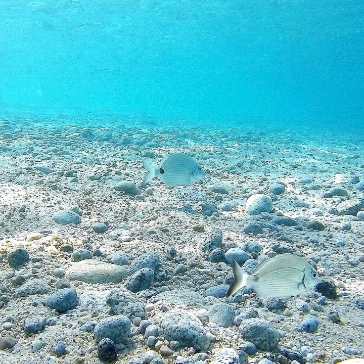 Strand Hotel Villaggio Il Gabbiano