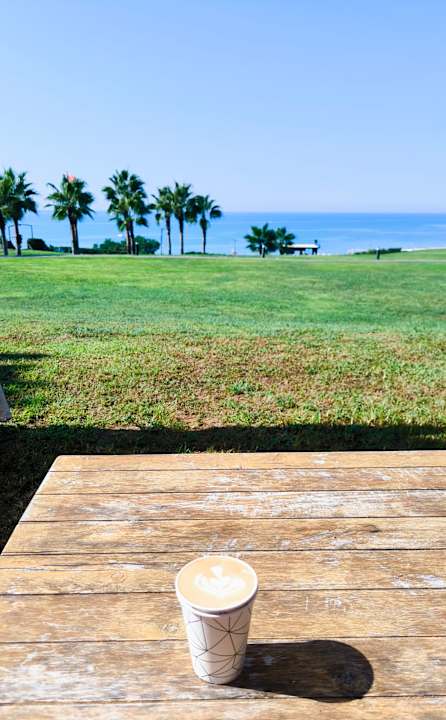 Ausblick TUI MAGIC LIFE Jacaranda
