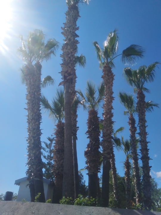 Gartenanlage Labranda Alantur Resort