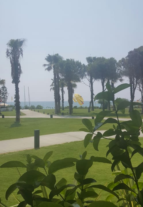 Außenansicht Paloma Finesse