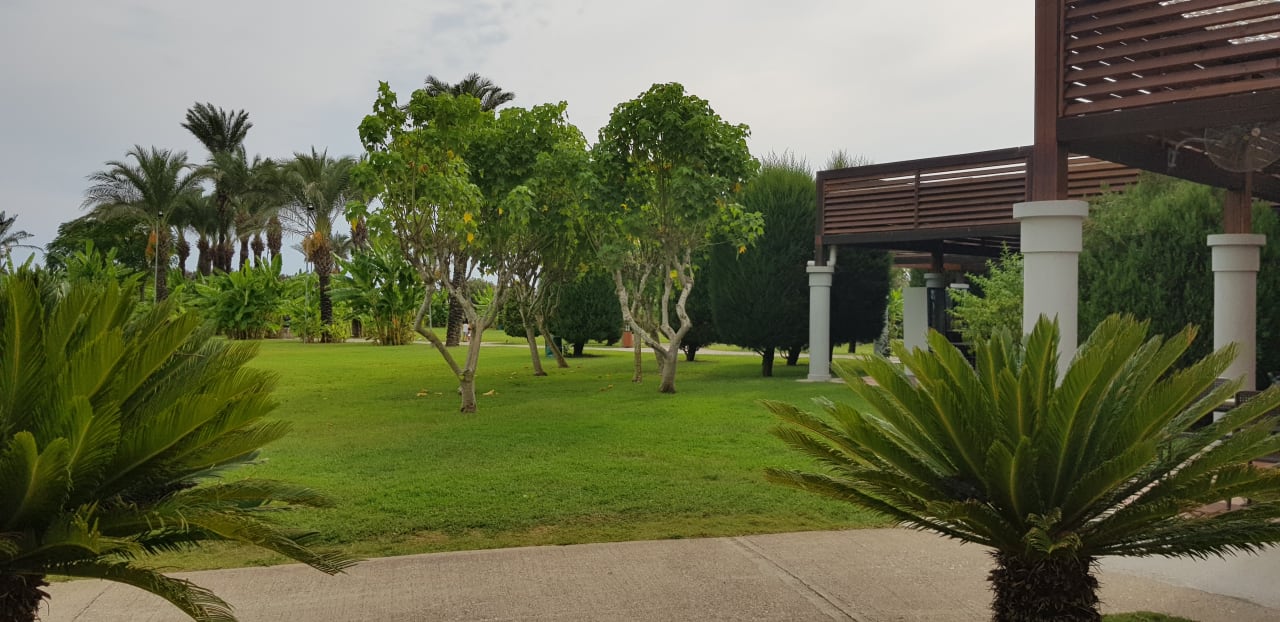 Außenansicht IC Hotels Green Palace