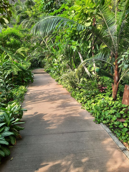 Gartenanlage Tropical Islands Resort