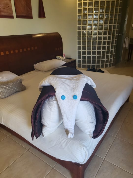 Zimmer Shams Prestige Abu Soma-Adults Only