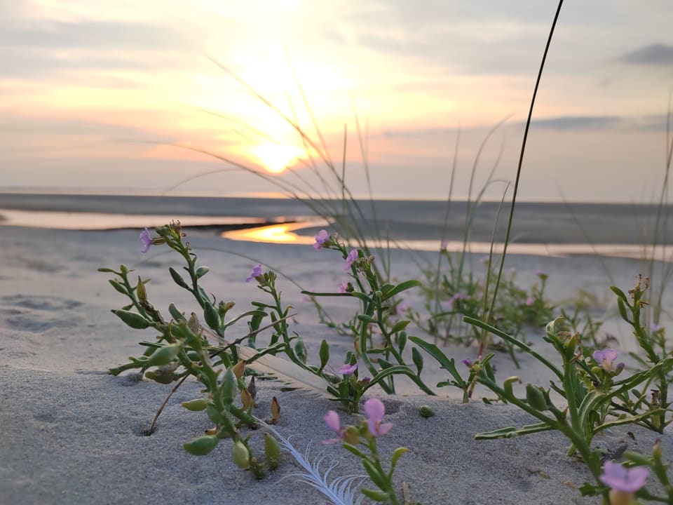 Strand Inselsünn Hotel und Apartments