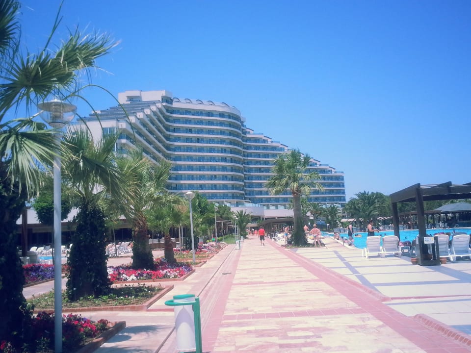 Venosa Venosa Beach Resort & Spa