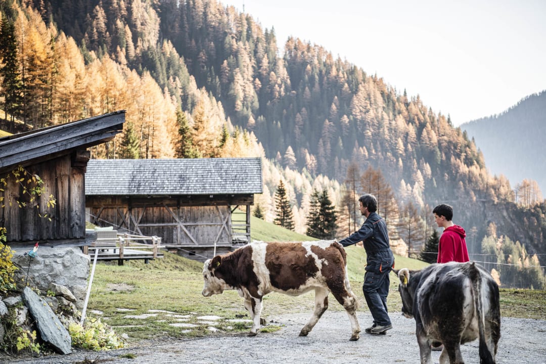 Sonstiges Duner Heuschupfe