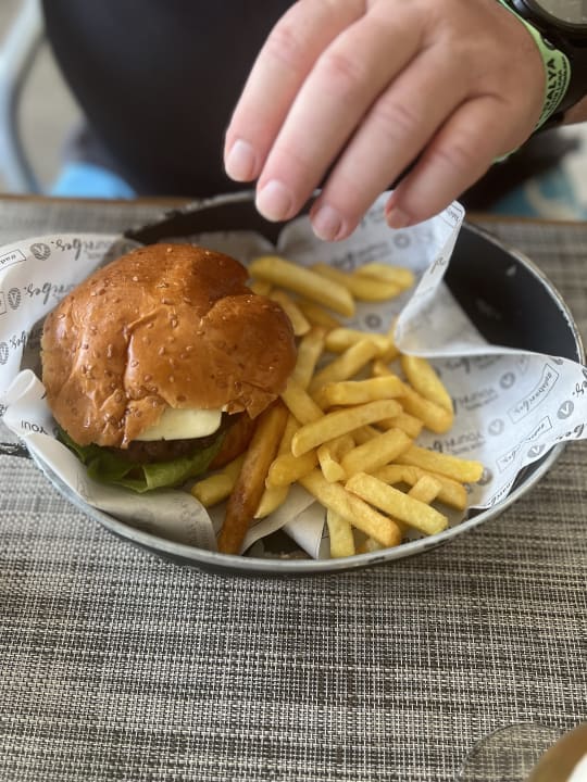 Gastro Adalya Elite Lara