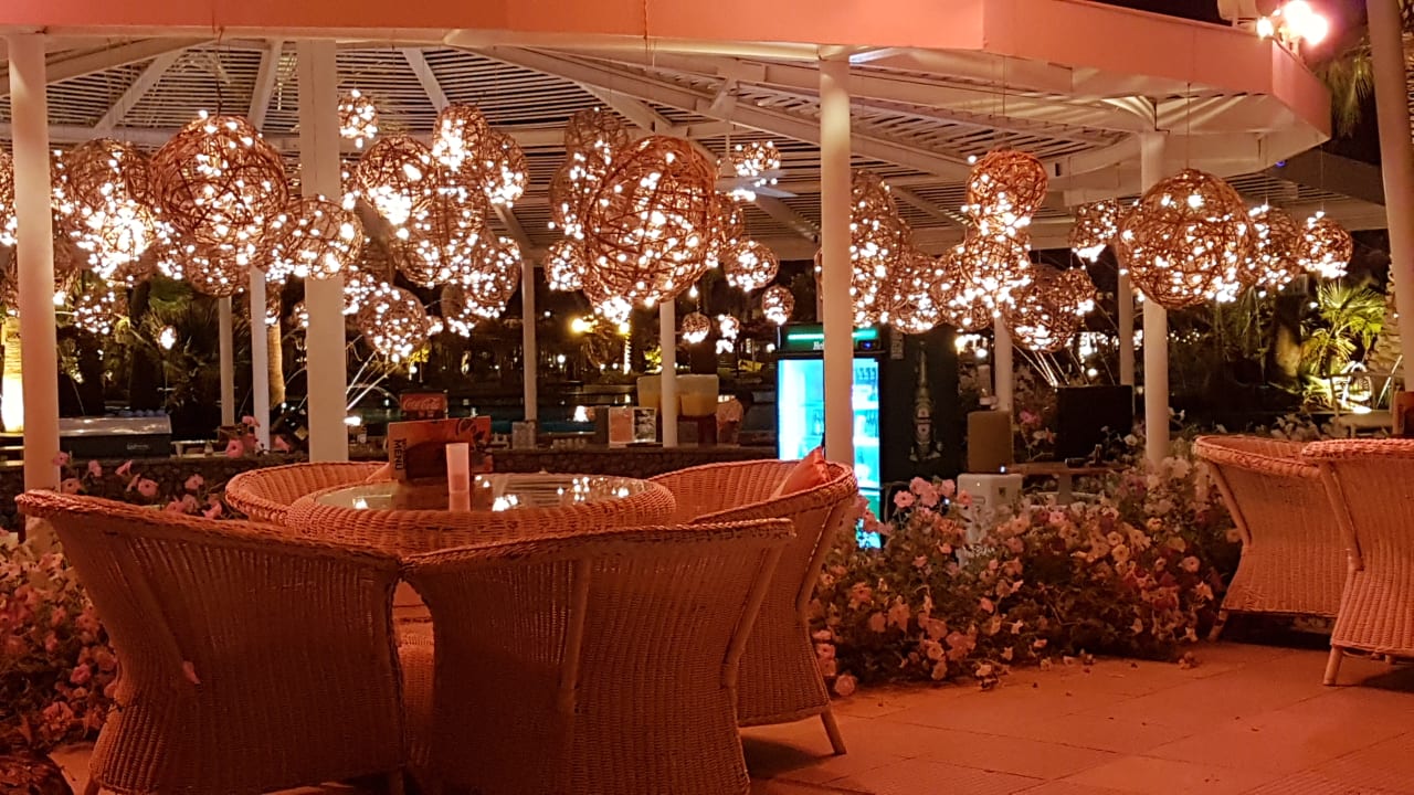 Sonstiges Desert Rose