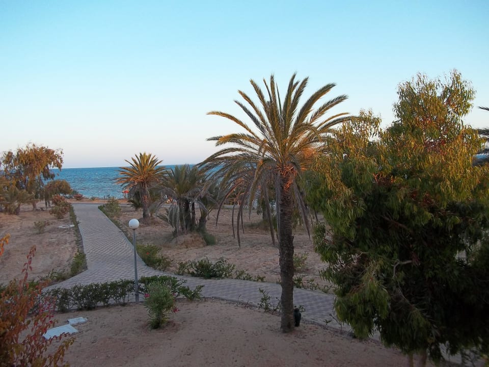 Vom Balkon  Hotel El Mouradi Djerba Menzel