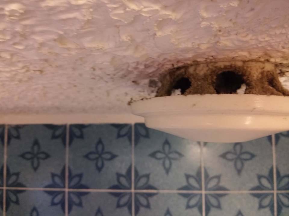 Dreck und Schimmel Hotel Marina Club