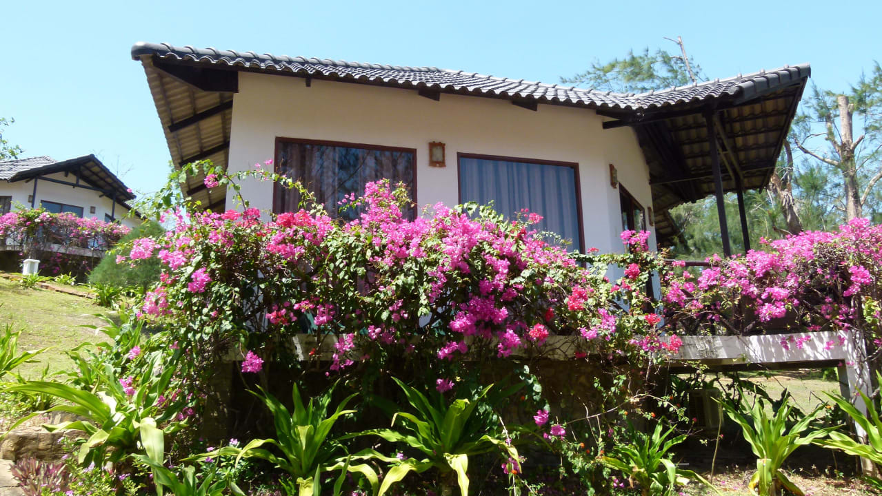 Bungalow Hotel Anoasis Beach Resort