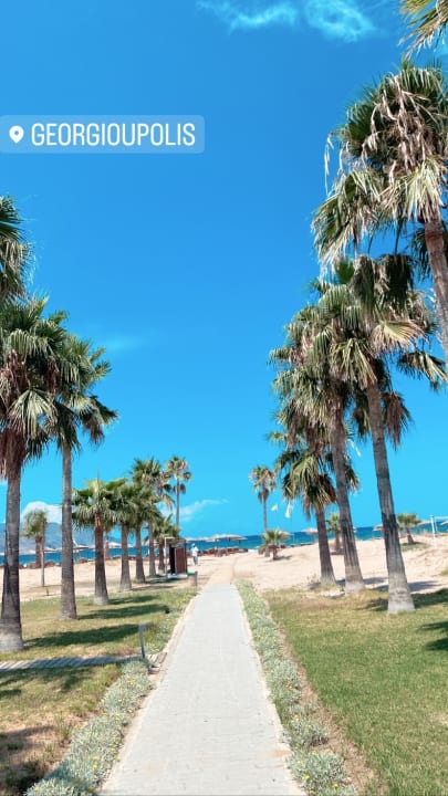 Gartenanlage Delfina Tropic Beach