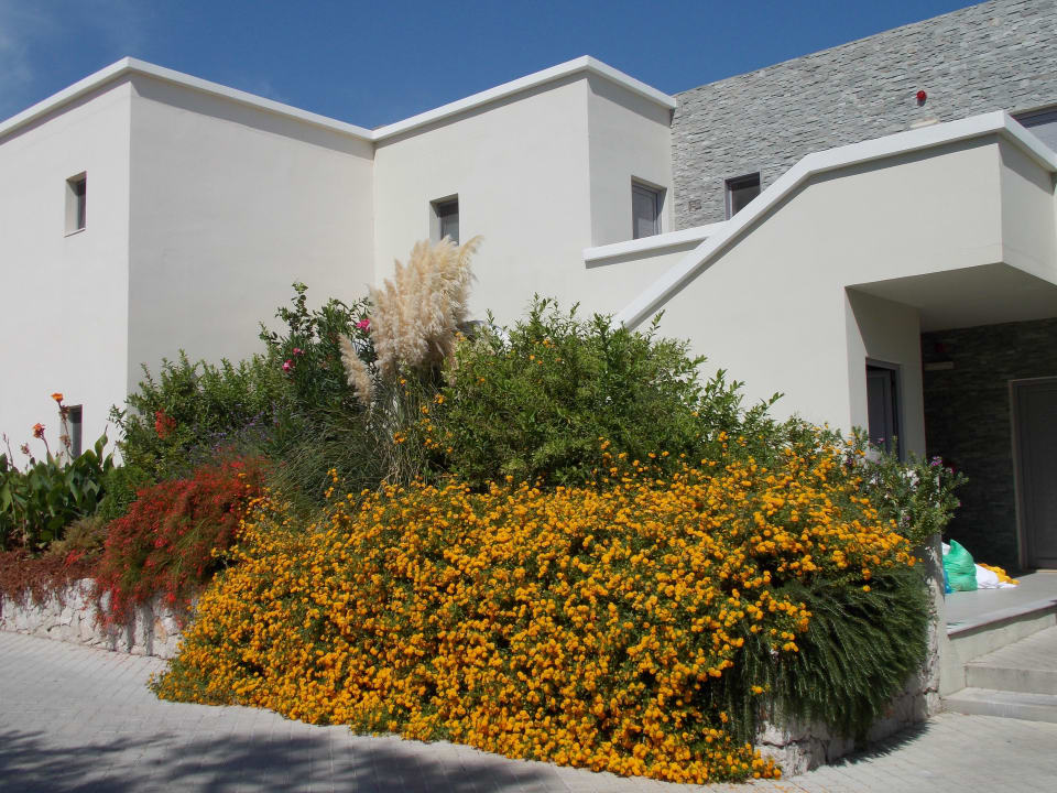 Bungalow mit Pflanzen SENTIDO Port Royal Villas & Spa