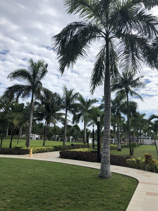 Gartenanlage Hotel Riu Palace Mexico