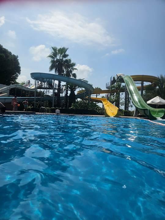 Pool Paloma Oceana