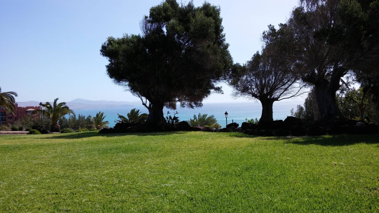 Toller Garten H10 Tindaya