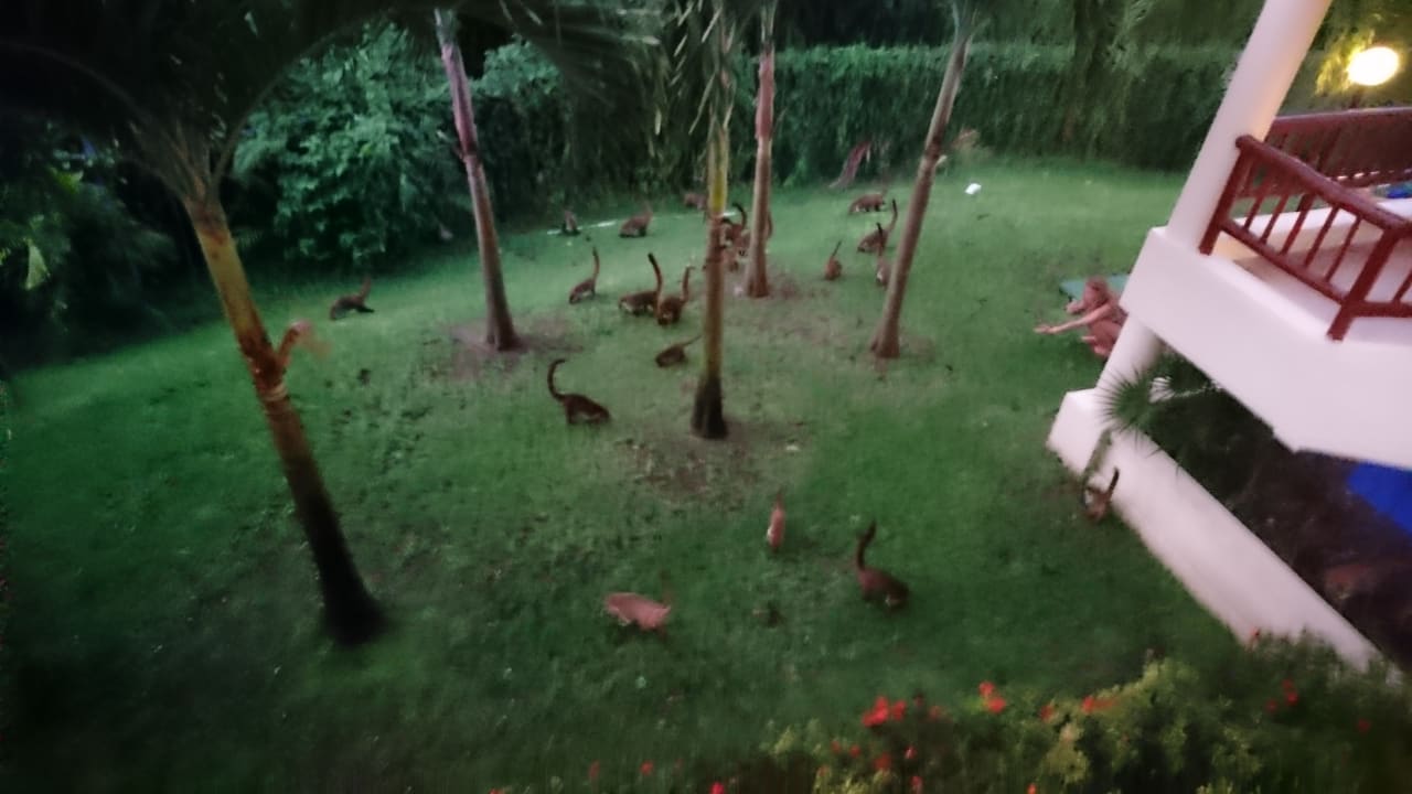 Gartenanlage Bahia Principe Grand Tulum