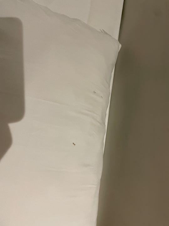 Zimmer Solana Beach Mauritius