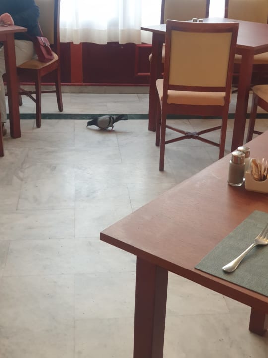 Gastro Bahia Principe Sunlight Costa Adeje