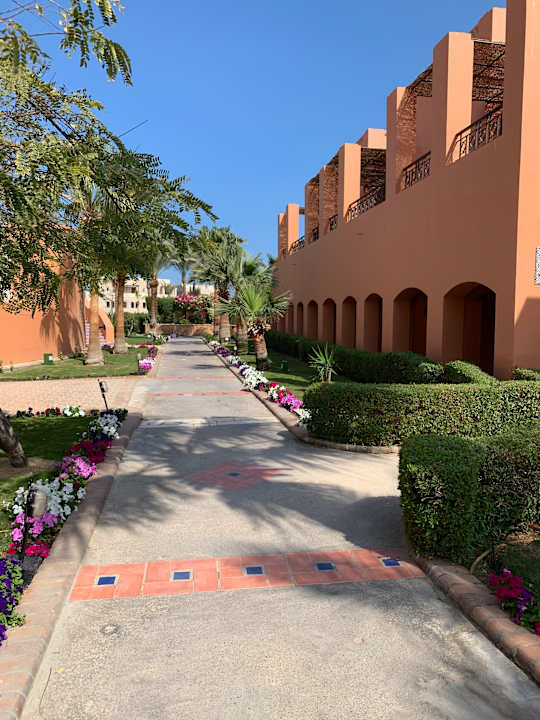 Garten Jaz Makadi Oasis Resort