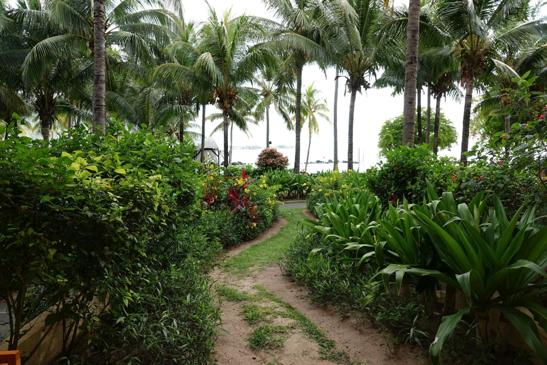 Ausblick Sands Suites Resort & Spa