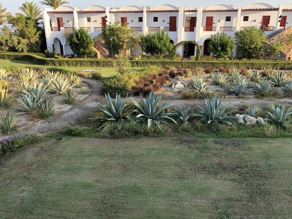 Zimmer Hotel Gorgonia Beach Resort