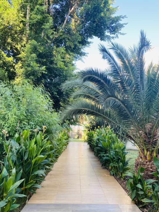 Gartenanlage Latanya Park Resort