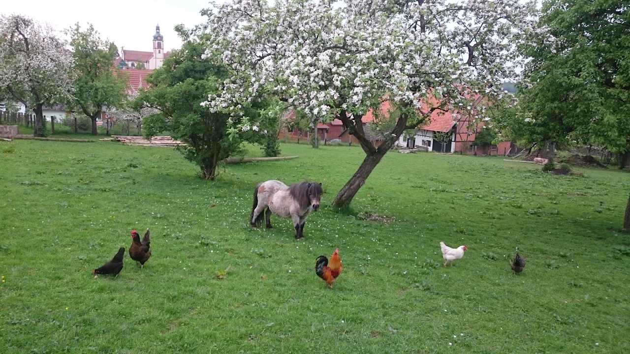 Ausblick Kastanienhof Krämer
