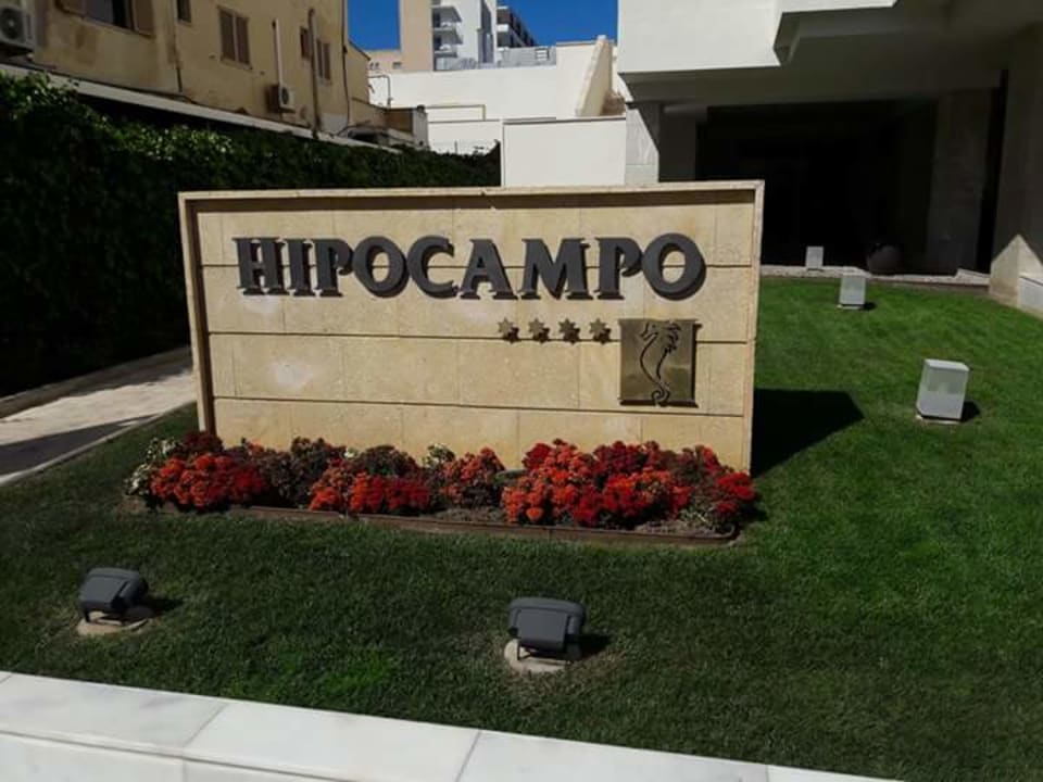 Sonstiges Hipotels Hipocampo