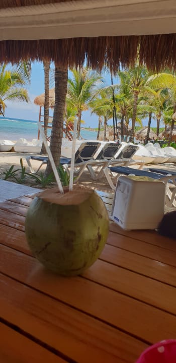 Gastro Grand Palladium Select White Sand Resort & Spa