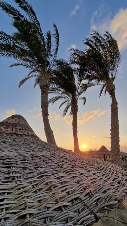 Strand Malikia Resort Abu Dabbab