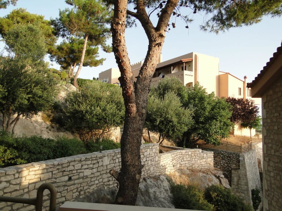 Blick auf das Hauptgebäude Hotel Forest Park