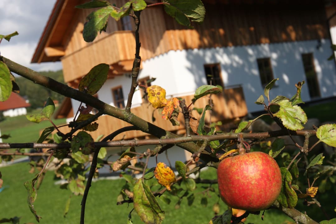 Gartenanlage Ferienbauernhof Kilger