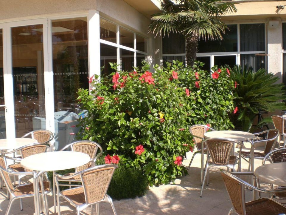 Aussenbereich am Pool ( Abendanimation) Aparthotel Ivory Playa