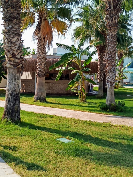 Außenansicht Aquasis De Luxe Resort & Spa
