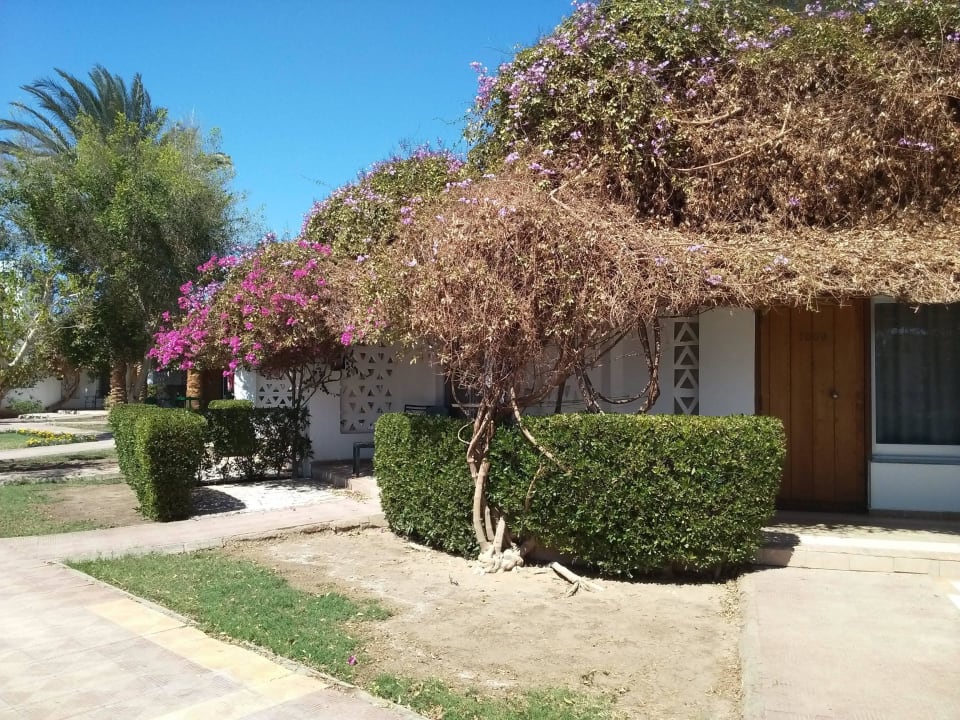 Бунгало Shams Safaga Resort
