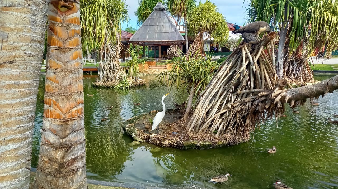 Gartenanlage Caribe Deluxe Princess