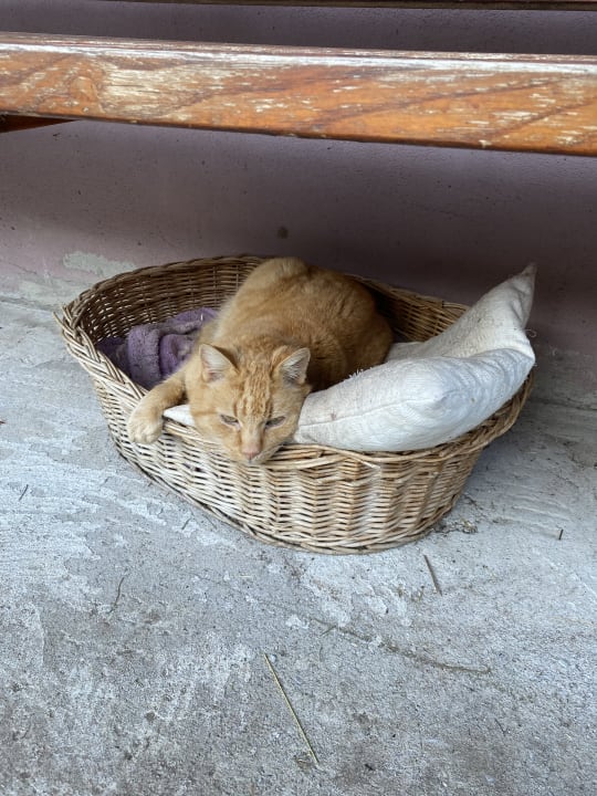 Sonstiges Bauernhof Bernhardenhof