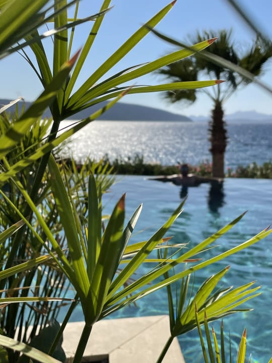 Pool TUI MAGIC LIFE Bodrum - Adult Only (16+)