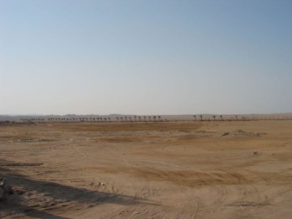 Hotel - mitten in der Wüste Palm Royale Resort - Soma Bay