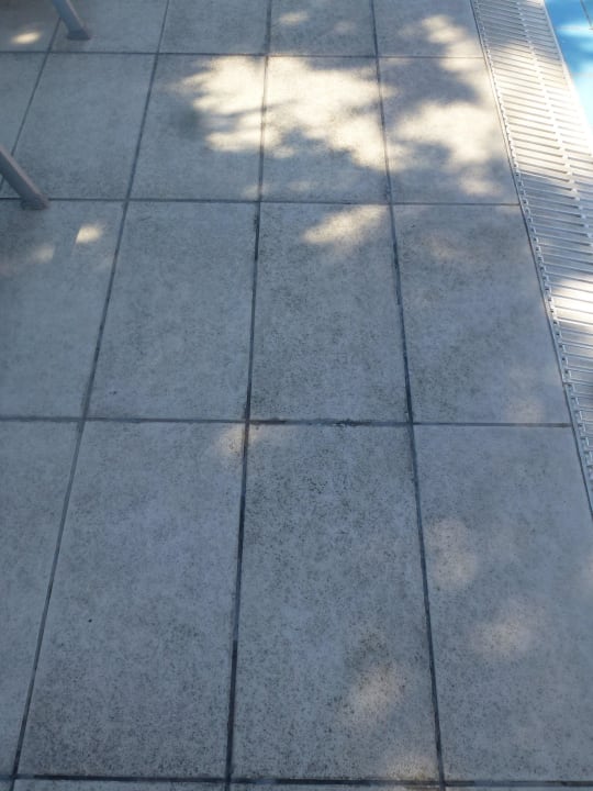 Ekelige dreckige Platten Atlantica Mikri Poli Kos