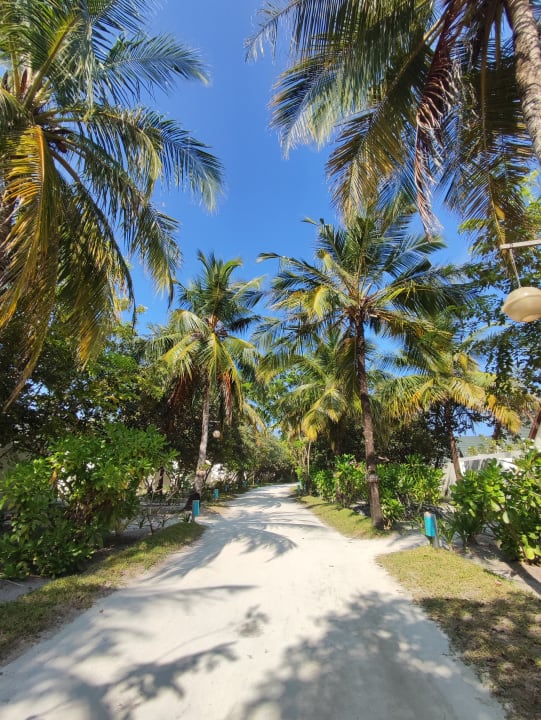 Gartenanlage Furaveri Maldives