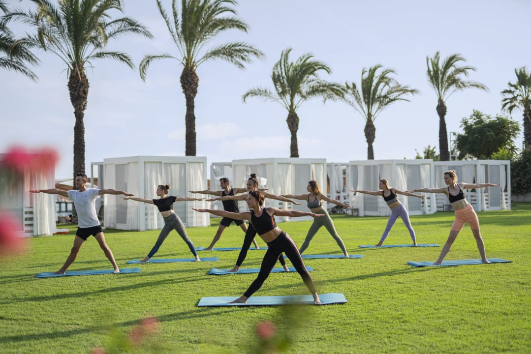 Sport & Freizeit Papillon Ayscha